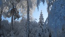 Ab nach draußen im Dezember: Winterruhe | Bild: Andreas Modery