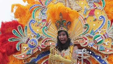 Karnevalskönigin mit gelber Federkrone auf Umzugswagen  | Bild: picture-alliance/dpa