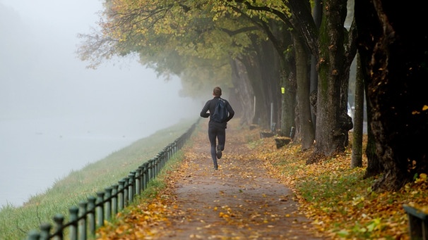 Jogger im morgendlichen Herbstnebel in München | Bild: picture-alliance/dpa