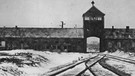 KZ Auschwitz alt | Bild: picture-alliance/dpa