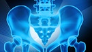 Illustration: Stilisierte Röntgenaufnahmen zweier Skelette und eines Hüftgelenks | Bild: colourbox.com