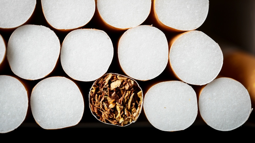 Mehrerer Zigaretten mit Sicht auf den Filter - eine Zigarette Sicht auf den Tabak | Bild: picture-alliance/dpa