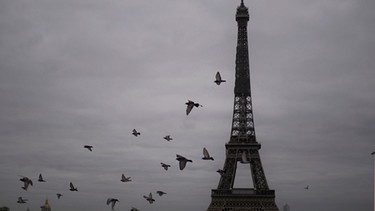 Frankreich, Paris: Tauben fliegen neben dem Eiffelturm bei Nebel. | Bild: dpa-Bildfunk