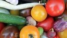 Verschiedene Gemüsesorten | Bild: picture-alliance/dpa