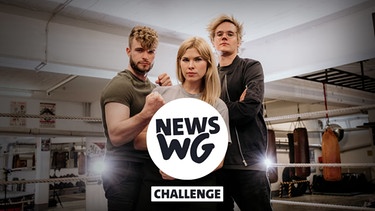 Teaserbild News-WG Challenge | Bild: BR