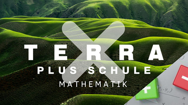 Terra X plus Schule Mathematik | Bild: ZDF