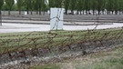 Stacheldraht nachkonstruiert in KZ-Gedenkstätte Dachau | Bild: BR
