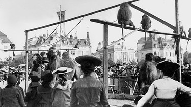 Kamele und Affen auf der Wiesn 1901  | Bild: Süddeutsche Zeitung Photo / Scherl