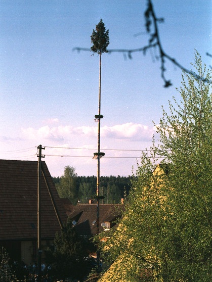 1998 haben die Dorfkemmathener mit ihren Mottobäumen begonnen. | Bild: Robert Ebert