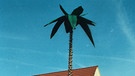 2004 verbreitet eine Palme schon im Mai karibisches Flair ...  | Bild: Robert Ebert