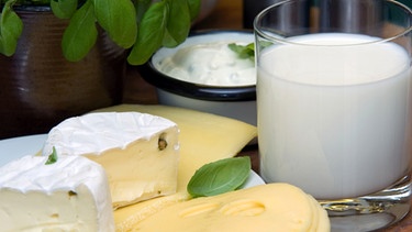 Milch und verschiedene Käsesorten | Bild: picture-alliance/dpa