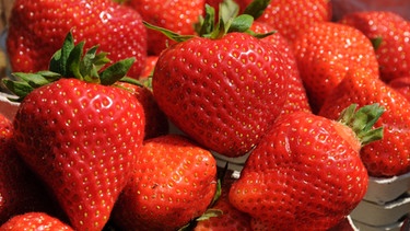Erdbeeren | Bild: BR