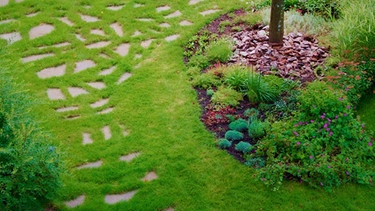 Rasen im Garten | Bild: colourbox.com