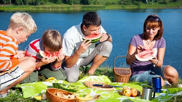 Familie auf Picknickdecke isst Melonen | Bild: colourbox.com
