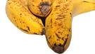 Drei Bananen mit braunen Flecken auf weissem Hintergrund | Bild: picture-alliance/dpa