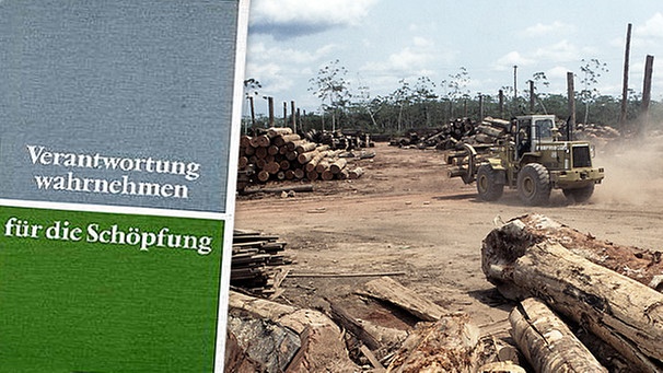 Symbolbild: Titel des Buches "Verantwortung wahrnehmen für die Schöpfung", im Hintergrund Abgeholzte Gebiete des Amazonas | Bild: EKD, picture-alliance/dpa, Montage: BR