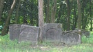 Alter Jüdischer Friedhof in Fürth | Bild: BR / Ernst Eisenbichler
