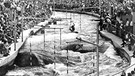 Olympische Sommerspiele 1972: Wildwasserstrecke Augsburg | Bild: picture-alliance/dpa