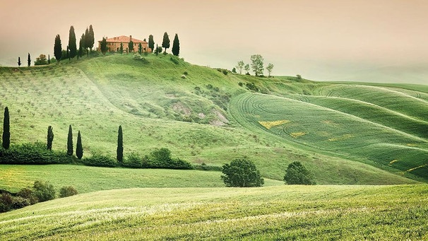 Sattgrüne Hügel, Zypressen, alte Landhäuser – für viele ist das die Essenz der Toskana | Bild: colourbox.com