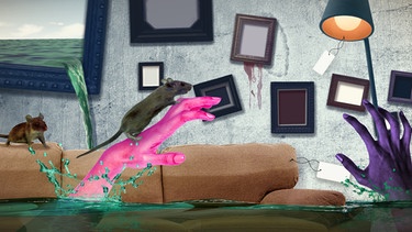 In einem surrealen, überschwemmten Wohnzimmer schießen zwei Hände aus dem Wasser empor, während sich eine Ratte auf einer der Hände und eine zweite auf einem Sofa niederlässt. | Bild: colourbox.com; Montage: BR