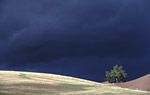 Gewitterwolken über einer Hügellandschaft © Getty Images