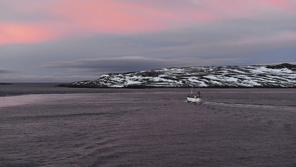 Kleines Schiff in rosafarbener Inselwelt der Barentssee | Bild: picture-alliance/dpa/Michael Narten