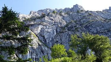 Markanter Bergrücken zwischen Loisach und Isar | Bild: BR; Barbara Weiß