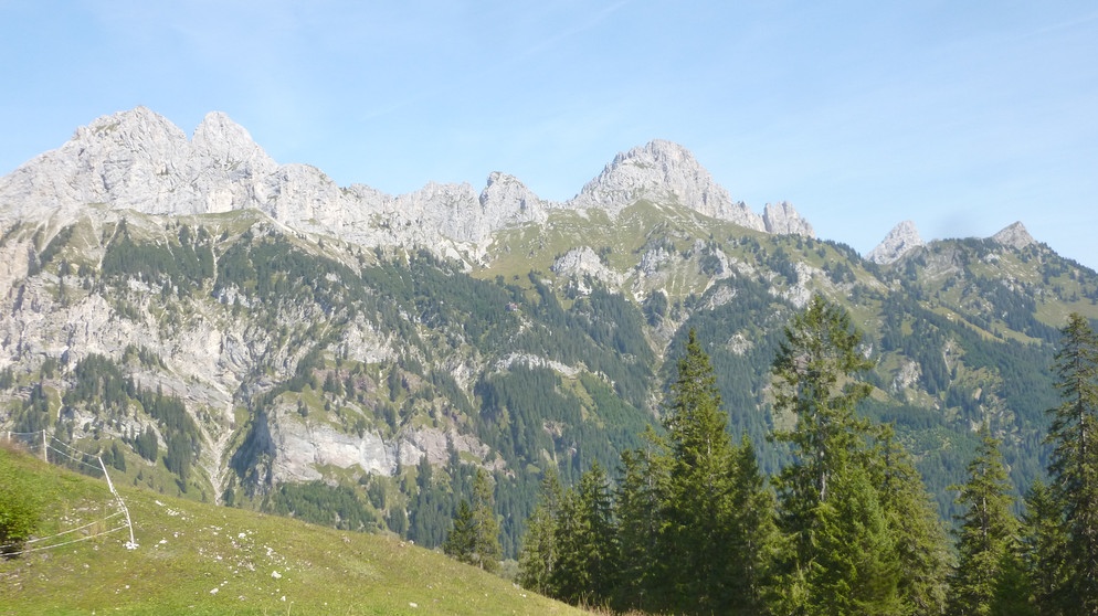 Öden-Alpen, Silberdisteln und ein Fliegen-Gipfel | Bild: BR; Andrea Zinnecker