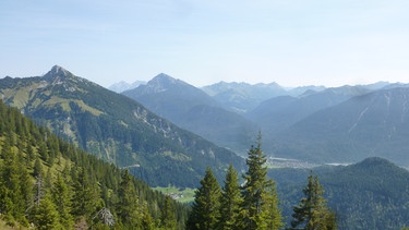 Öden-Alpen, Silberdisteln und ein Fliegen-Gipfel | Bild: BR; Andrea Zinnecker