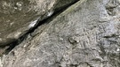 Rätische Inschriften am Schneidjoch  | Bild: BR; Andreas Pehl