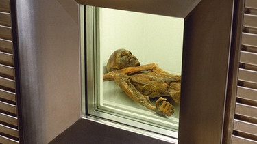 Sonderausstellung "Ötzi20" | Bild: South Tyrol Museum of Archaeology