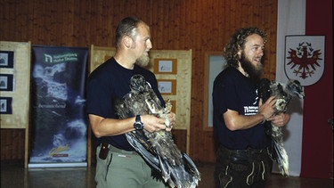 Der Bartgeier | Bild: Archiv Nationalpark Hohe Tauern