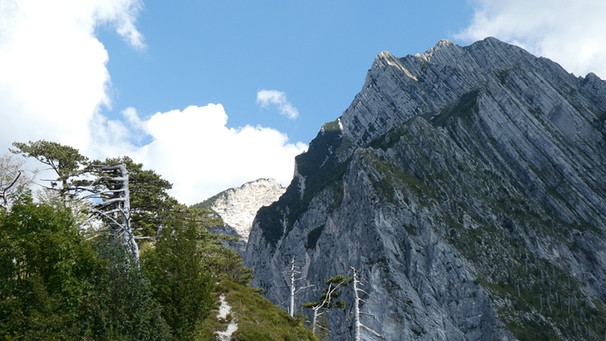 Alpine Natur, Sprachkultur und Geschichte zwischen Tarvisio und Triest | Bild: BR; Georg Bayerle
