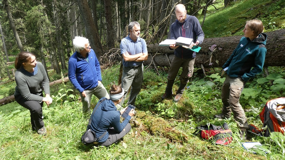 Wissenschaftliche Analysen in einem Naturwaldreservat | Bild: BR; Georg Bayerle