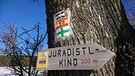Langlaufen und Wandern im Oberpfälzer Jura: Hier geht's lang zum Juradistl-Kino | Bild: BR/Ulrike Nikola