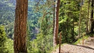 Thiersee: Links die Glemmbachklamm und trotz der Bäume ist das abfallende Steilgelände zu erkennen | Bild: BR/Chris Baumann