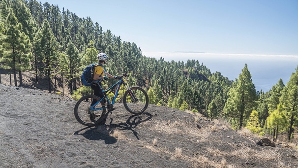 Mit dem Mountainbike unterwegs auf La Palma | Bild: picture-alliance/dpa