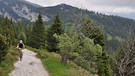 Mountainbike auf die Cima Vézzena im Trentino | Bild: BR; Ulrike Nikola