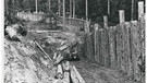 Bau Bärengehege 1974  | Bild: NPVBW
