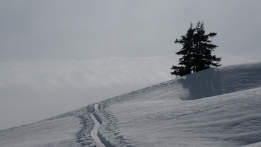 Skitour auf den Großen Galtenberg: Eine Spur in die Wolken | Bild: BR/Georg Bayerle