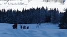 Traum-Skitour am Grünten | Bild: BR; Georg Bayerle