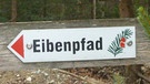 Eibenwald-Schild | Bild: BR/Andrea Zinnecker
