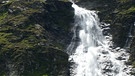 Artenvielfalt in den Hohen Tauern: Lebensraum Wasserfall | Bild: BR/Georg Bayerle