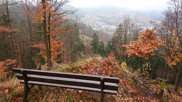 Blick vom Mittelberg auf Warmensteinach | Bild: BR/Ulrike Nikola