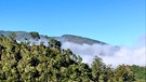 Madeira: Die feuchte Luft ist wichtig für den Wasserhaushalt der ganzen Insel | Bild: BR/Bernd-Uwe Gutknecht