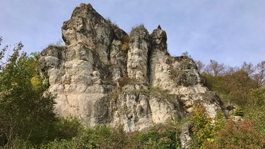 Wandern im Urdonautal: Aus der Zeit des Jurameeres stammen die imposanten Kalkfelsen | Bild: BR/Bernd-Uwe Gutknecht