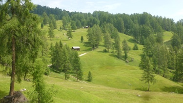 Vaciara-Alm unterm Peitlerkofel: Grüne Sommerfrische am Berg | Bild: BR/Andrea Zinnecker