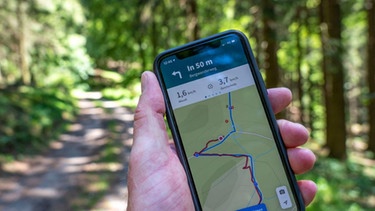 Auf einem Smartphone ist die Wanderroute abgebildet. Dahinter sieht man einen Forstweg im Wald. | Bild: picture-alliance/dpa, Jochen Tack