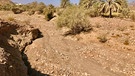 Outdoor-Erlebnisse zwischen Wadis und Dattelpalmen an der Grenze zum Oman | Bild: BR; Bernd-Uwe Gutknecht