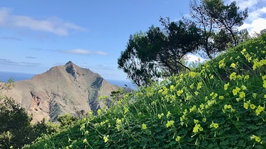 Wandern auf der kleinen Nachbarinsel von Madeira | Bild: BR; Bernd-Uwe Gutknecht